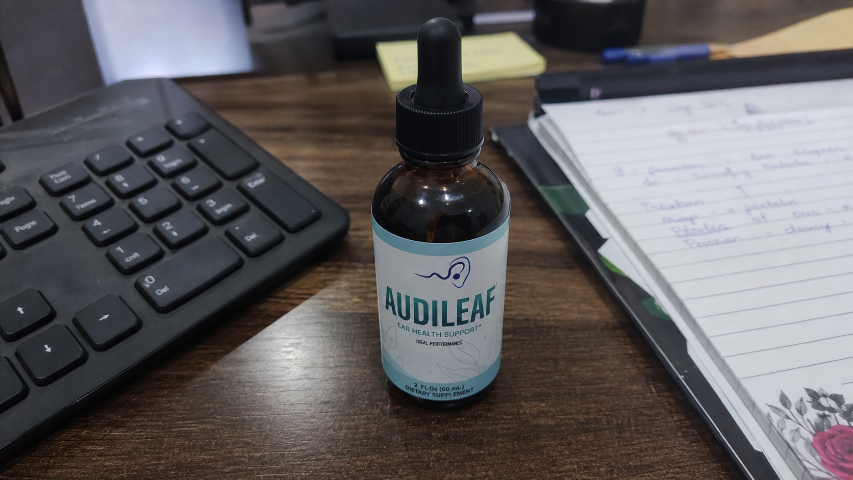 Audileaf review