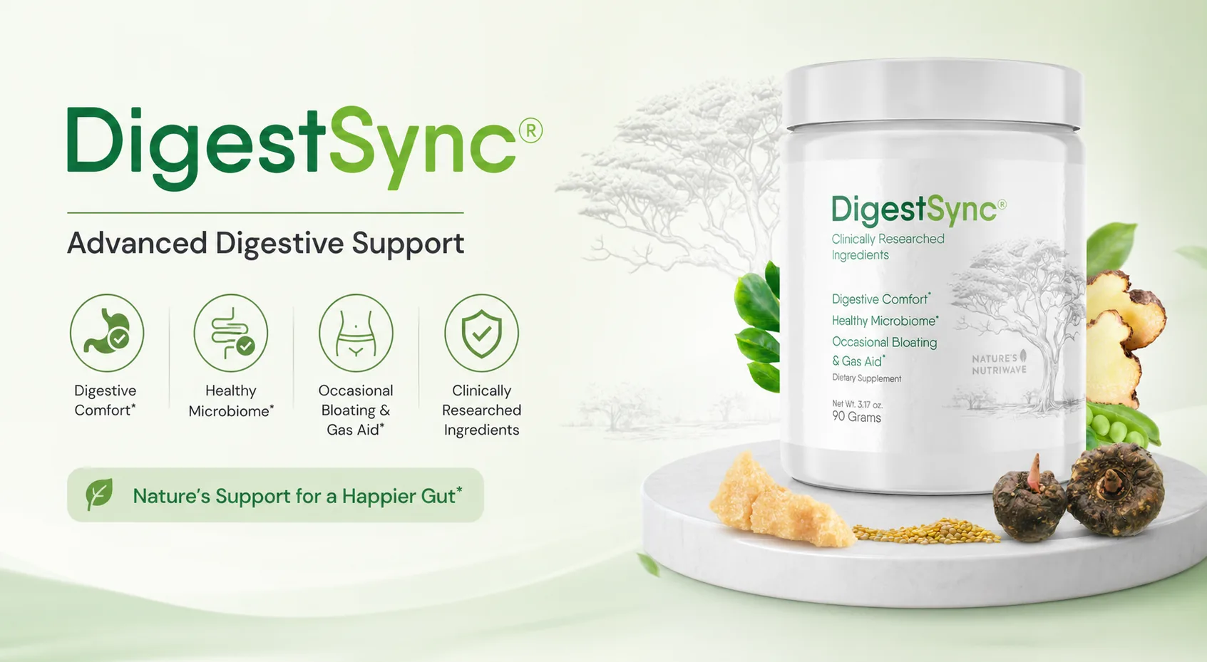 Digestsync 2026 Review: Does It Actually Work?