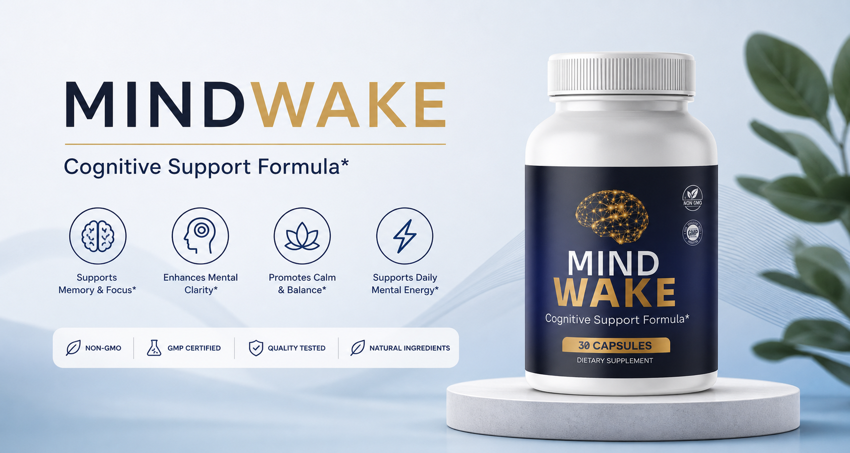 MindWake product overview